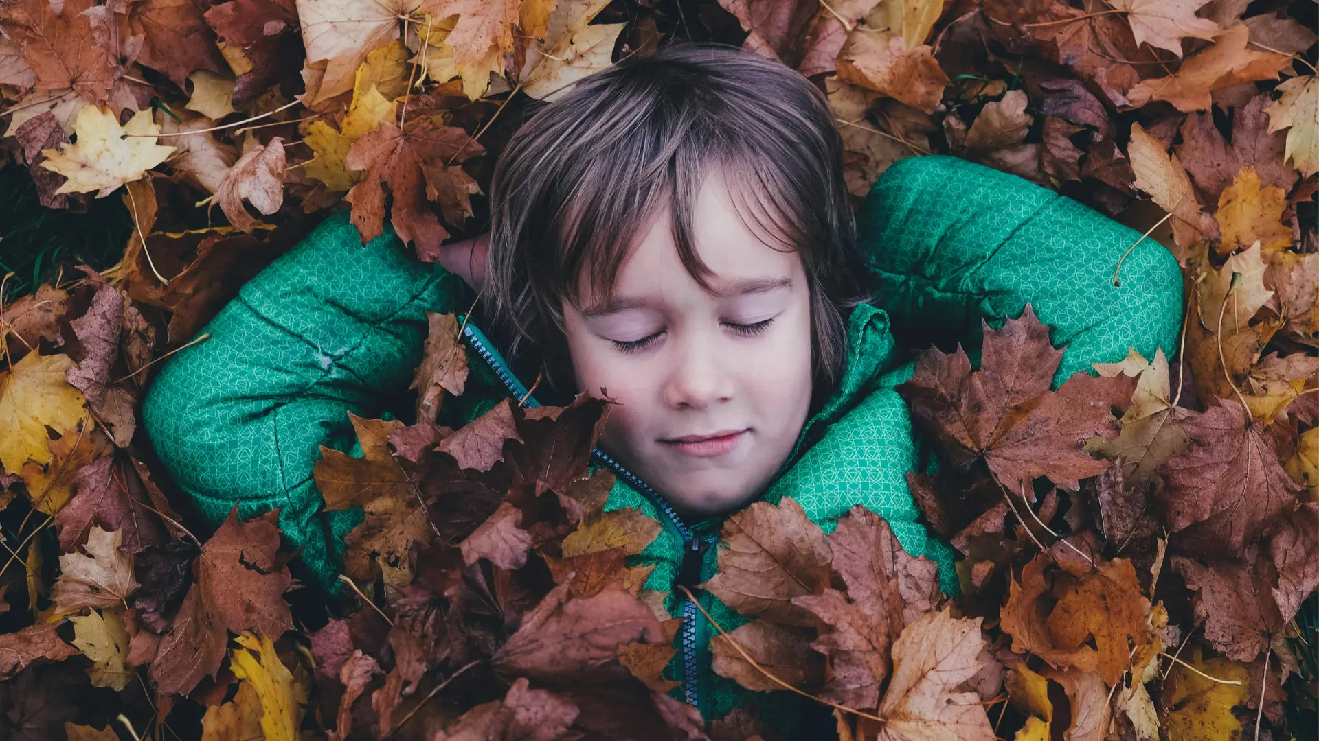 L'actu qui fait du bien, chez GUS