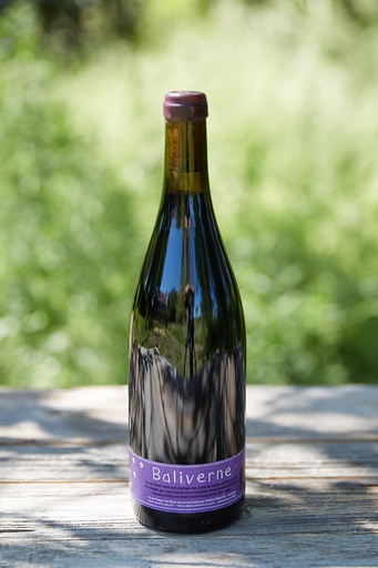 Deboutbertin (France – Loire) – Baliverne 2018