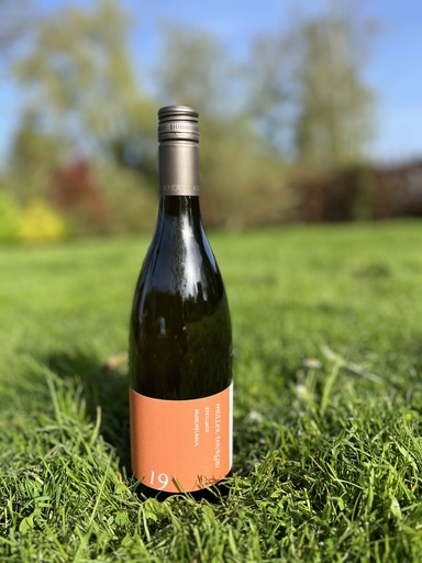 Kraemer (Allemagne – Franconie) – Müller Thurgau Muschelkalk 2019