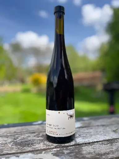 Julien Meyer (France - Alsace) - Pinot Gris, Fanny 2022