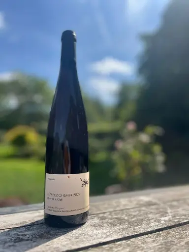 Julien Meyer (France - Alsace) - Pinot Noir, Le Vieux chemin 2022