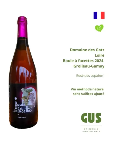 Vin rosé de Loire - Domaine des Gatz - Boule à facette 2024